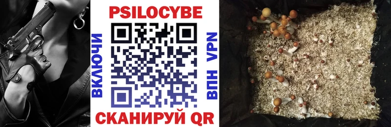 Псилоцибиновые грибы GOLDEN TEACHER  MEGA сайт  Ачинск 